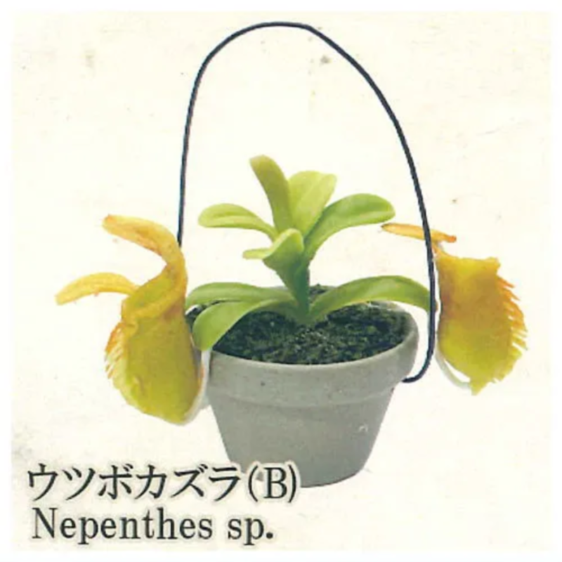 Cápsula Gashapon de arcoíris j - Capsule Toy Gashapon reseña y precio