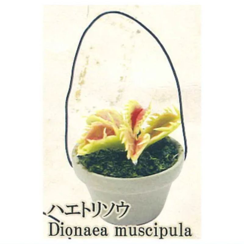 Cápsula Gashapon de arcoíris j - Capsule Toy Gashapon reseña y precio